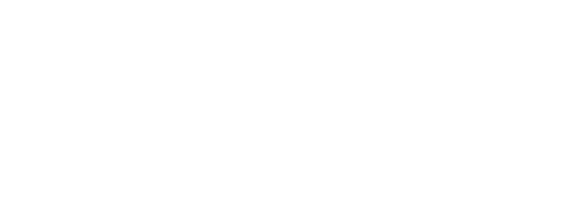 Schinnerl Solutions
