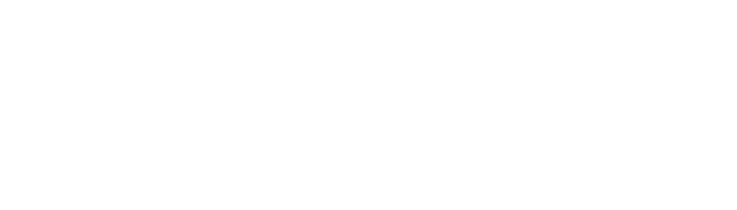 Schrott Logo