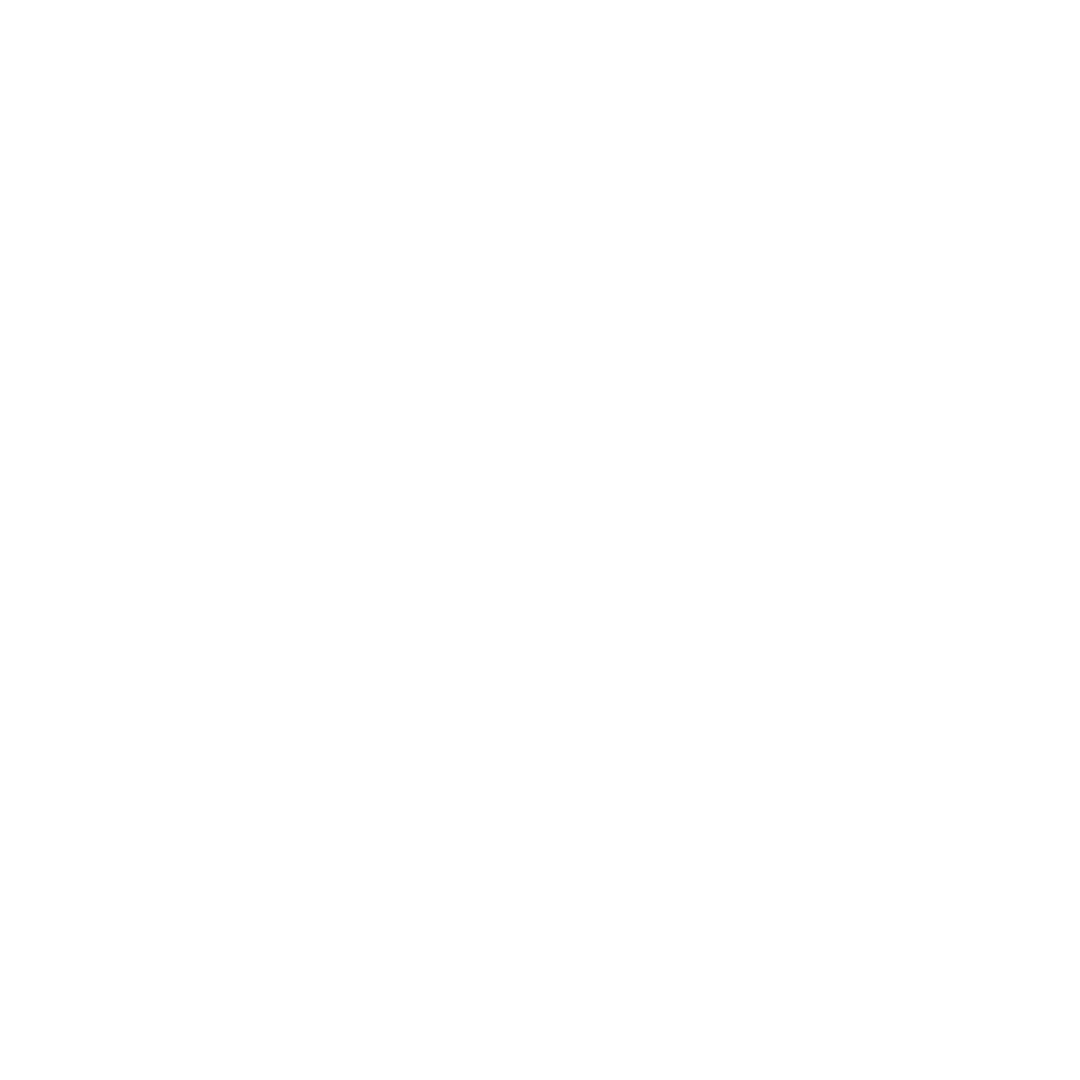 MGS Systeme